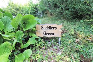 Photo 36- click for photo gallery